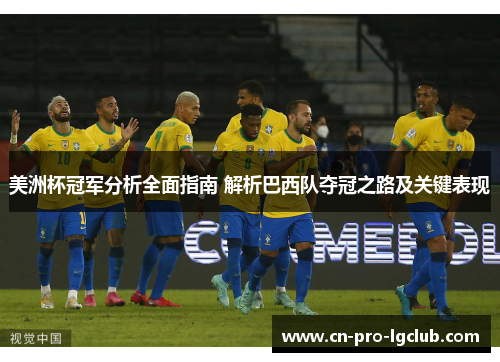 美洲杯冠军分析全面指南 解析巴西队夺冠之路及关键表现