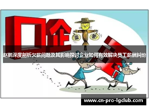 赵鹏深度剖析欠薪问题及其影响探讨企业如何有效解决员工薪酬纠纷