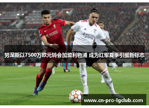 努涅斯以7500万欧元转会加盟利物浦 成为红军夏季引援新标志 努涅斯以7500万欧元转会加盟利物浦 成为红军夏季引援新标志