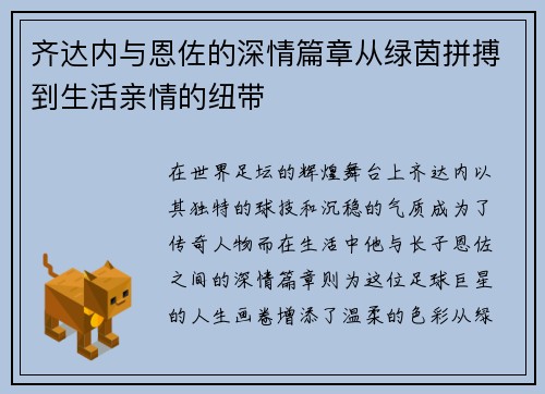 齐达内与恩佐的深情篇章从绿茵拼搏到生活亲情的纽带