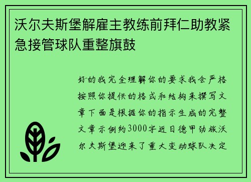 沃尔夫斯堡解雇主教练前拜仁助教紧急接管球队重整旗鼓