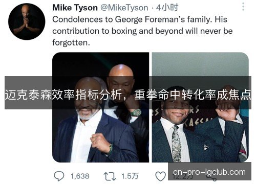 迈克泰森效率指标分析，重拳命中转化率成焦点